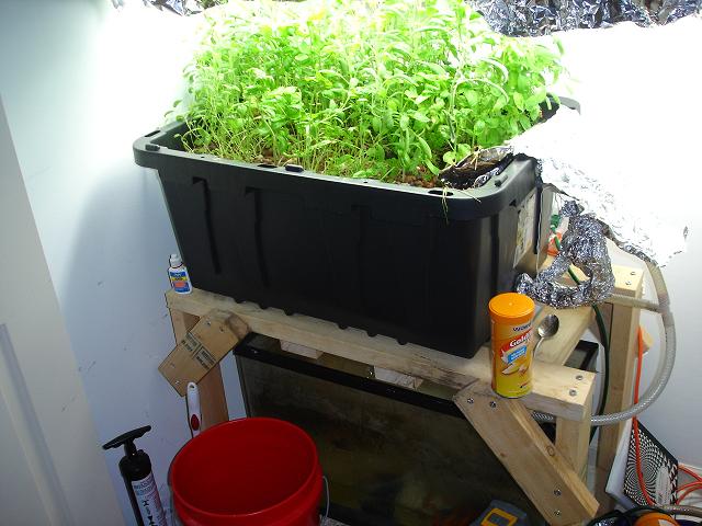 2009 02 24 Whole System.JPG