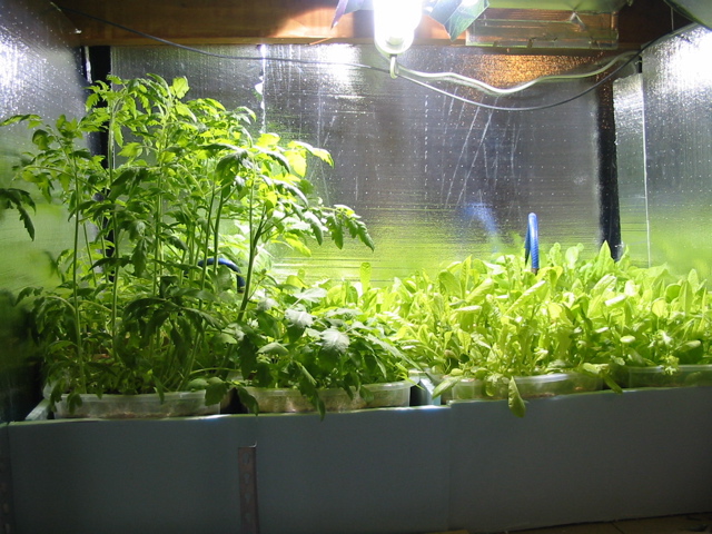 System 2007 Version 1.jpg