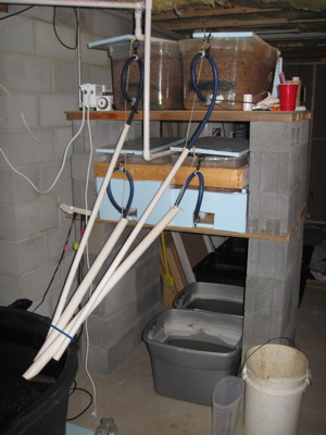 System 2007 Version 2 Siphons.jpg