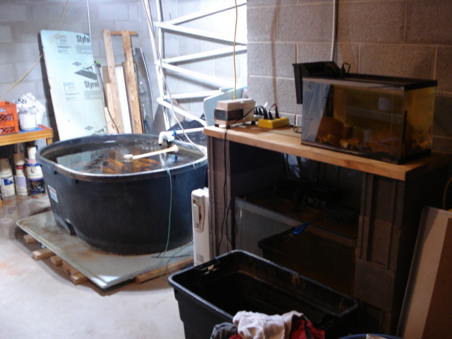 System 2008 Downstairs.jpg