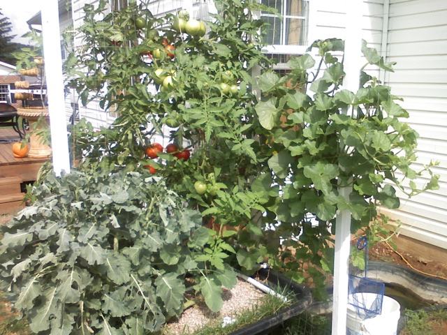 System 2008 Plants.jpg