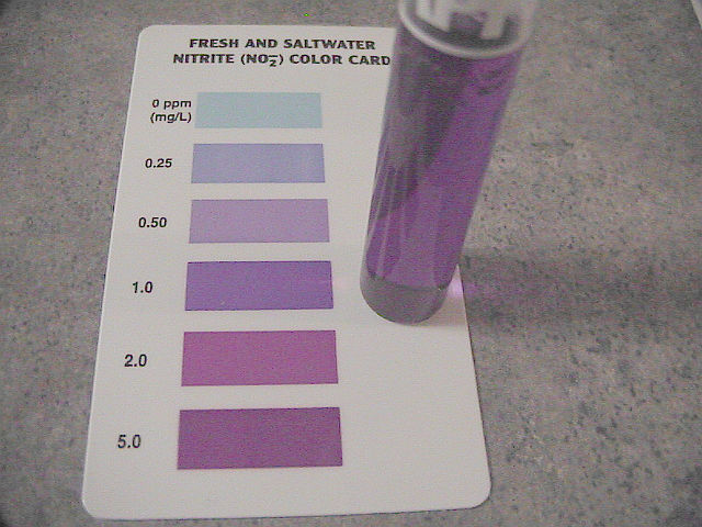nitrite-purple1.jpg