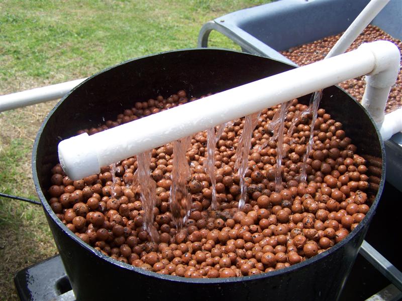 100_1487 (Medium).JPG