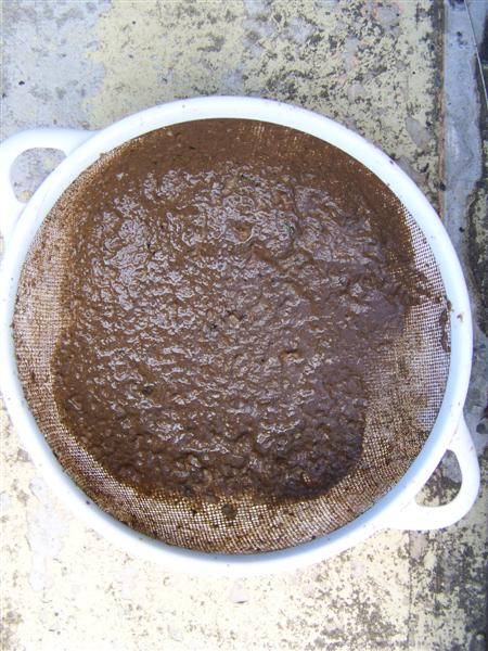 100_2155 (Medium).JPG