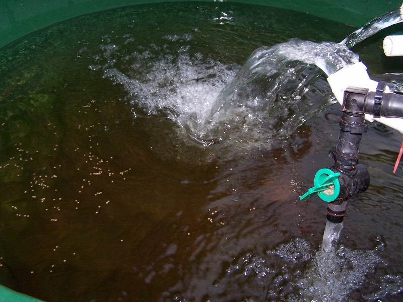 28-02-09 086 (800x600).jpg