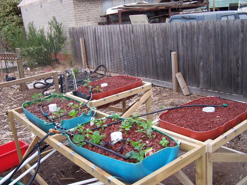 28-02-09 091 (800x600).jpg