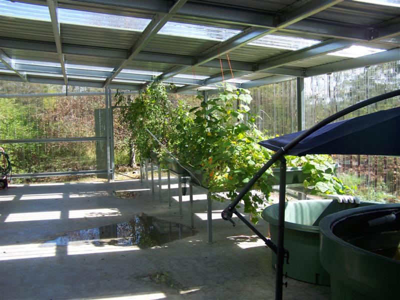 100_2222 (Medium).JPG