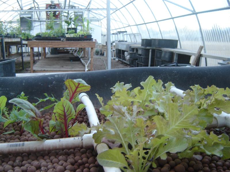 DSC04323 (Medium).JPG