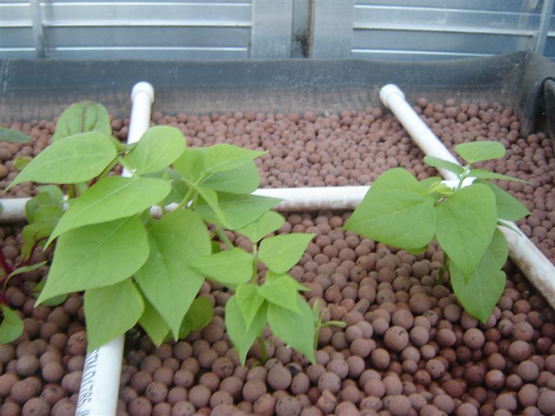 DSC04340 (Medium).JPG