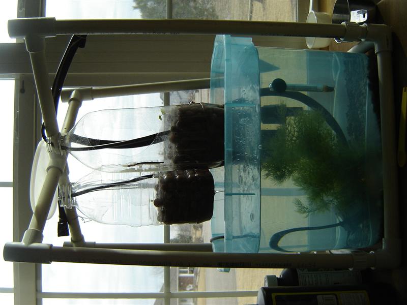 Mini setup 4 gal 2 (Medium).JPG