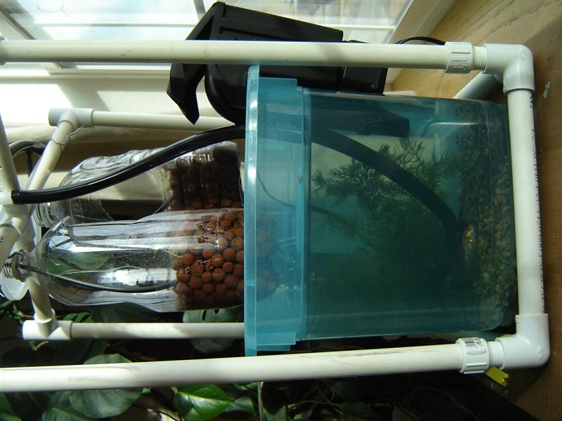 Mini setup sideview (Medium).JPG