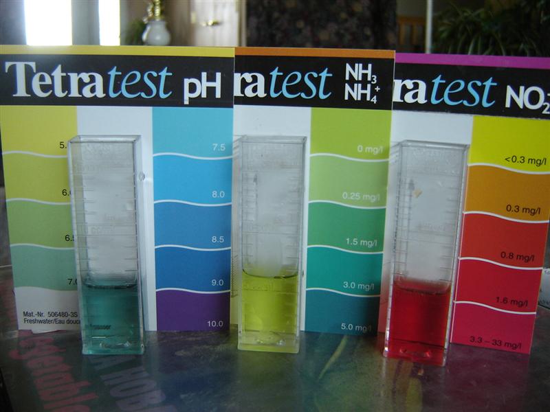 water test today of mini system...ooo bad nitrite...hurryup bacteria (Medium).JPG