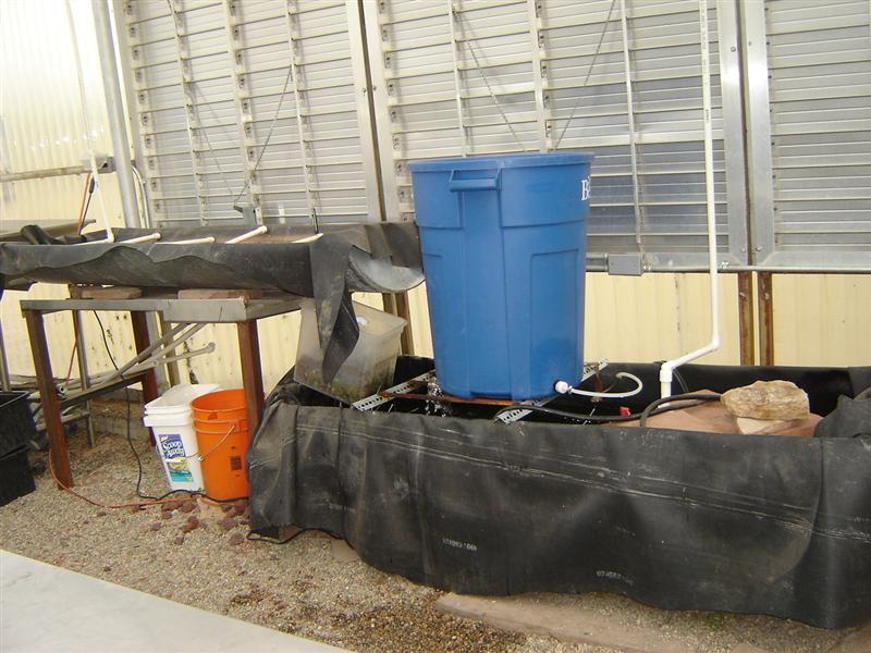 Bed, fish tank and water storage (Medium).JPG