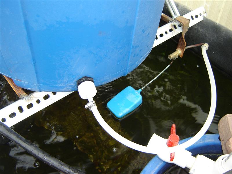 float valve for releasing water to fish tank (Medium).JPG