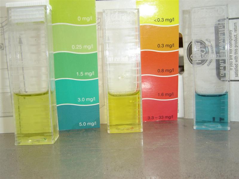 Today's tests from school system L-R Ammonia, Nitrite and PH (Medium).JPG