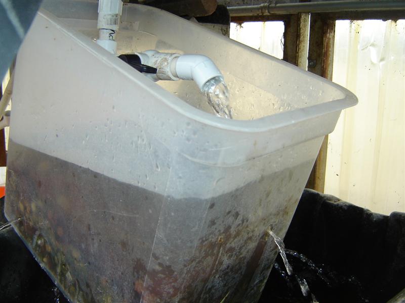 gravel and lava rock filter between plant bed and fish tank (Medium).JPG