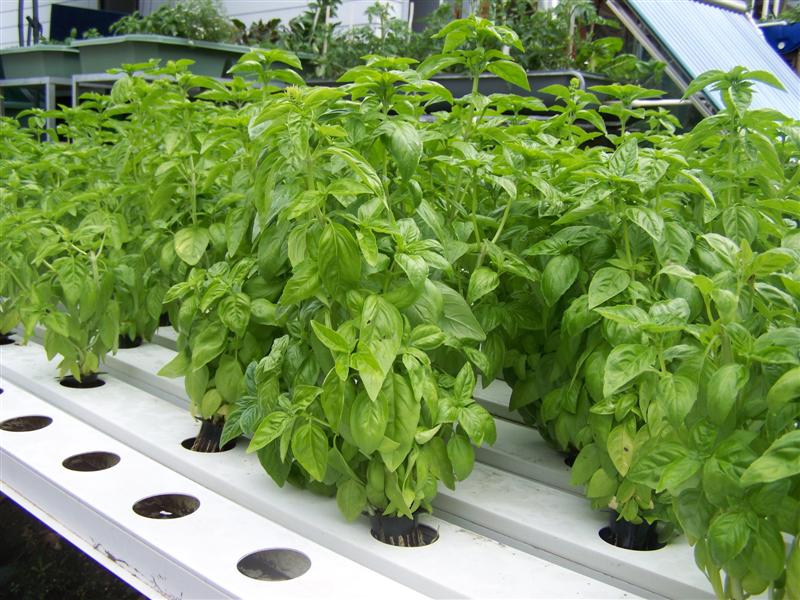 100_2438 (Medium).JPG