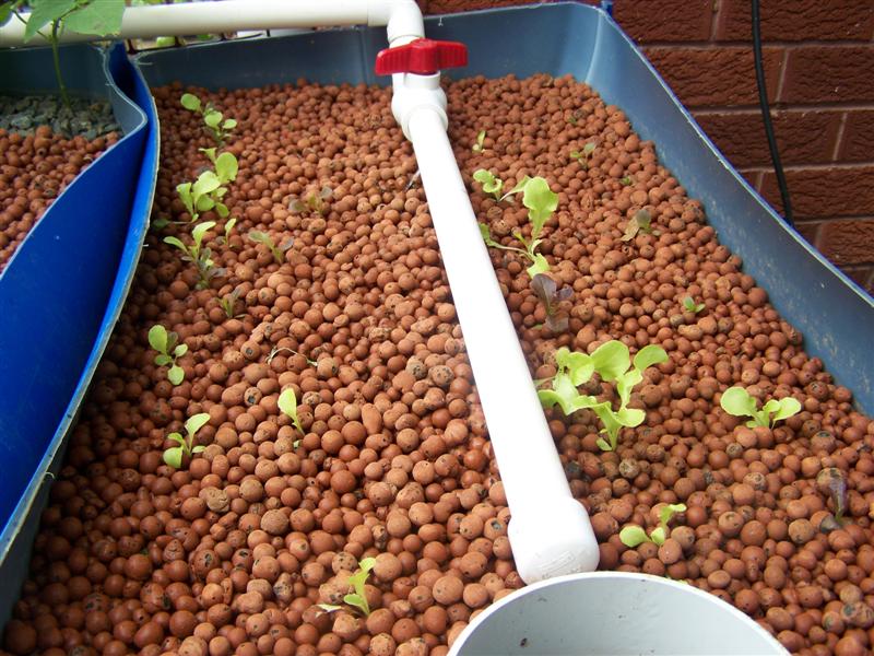 100_2448 (Medium).JPG