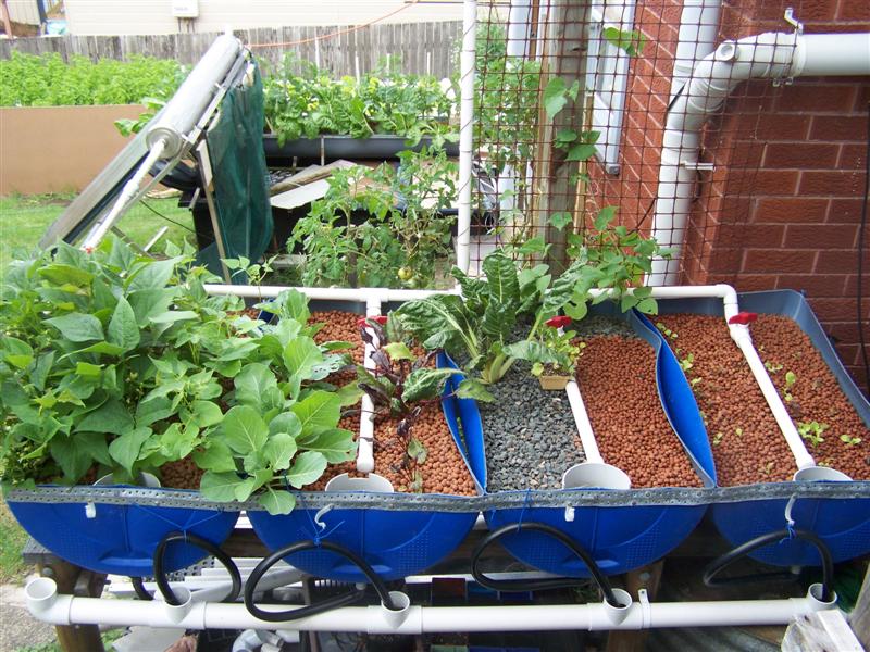 100_2451 (Medium).JPG