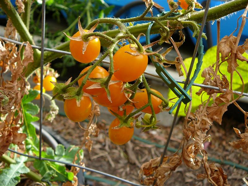 07-02-09 006 (Medium).jpg