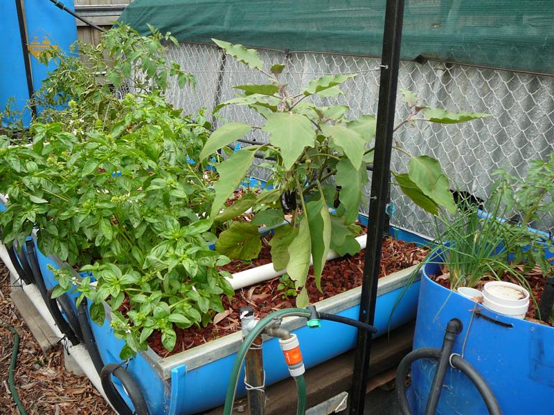 05-03-09 019 (Medium).jpg