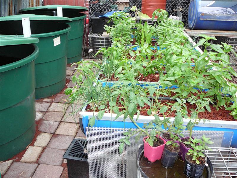 05-03-09 016 (Medium).jpg