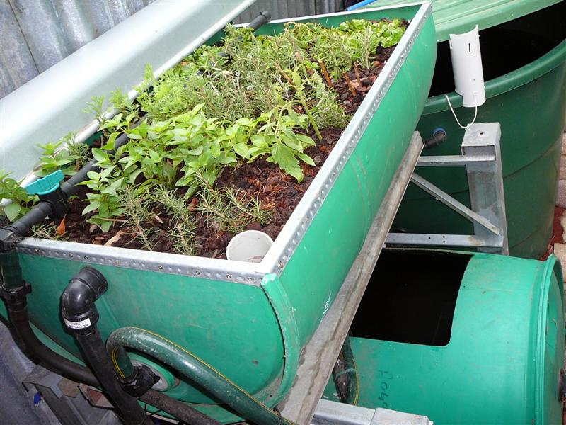 05-03-09 017 (Medium).jpg