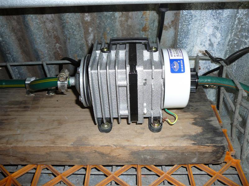 07-02-09 001 (Medium).jpg