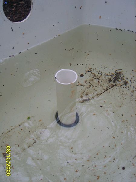 S8000079 [800x600].JPG