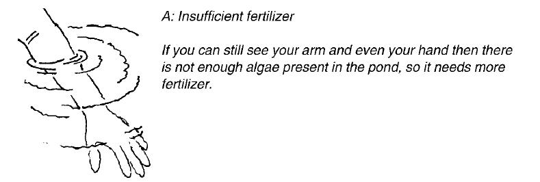 A Too little fertilizer.JPG