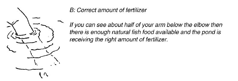 B Correct amount of fertilizer.JPG