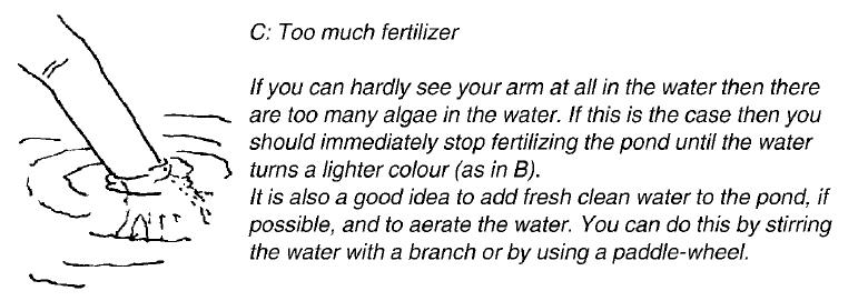 CToo much fertilizer.JPG