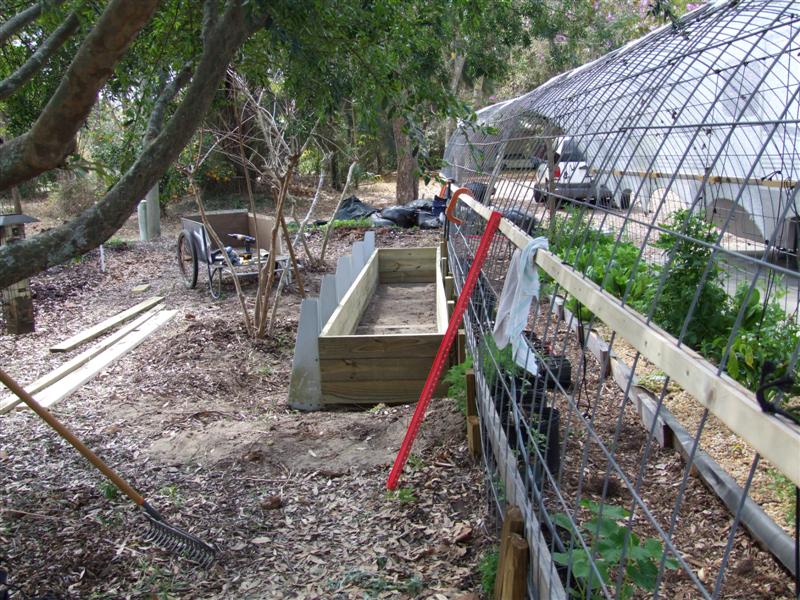 duckweed pond frame (Medium).JPG