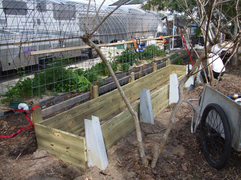 duckweed pond frame 2 (Medium).JPG