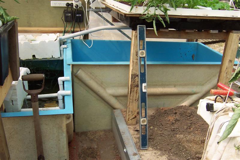 100_0950 (Medium).JPG