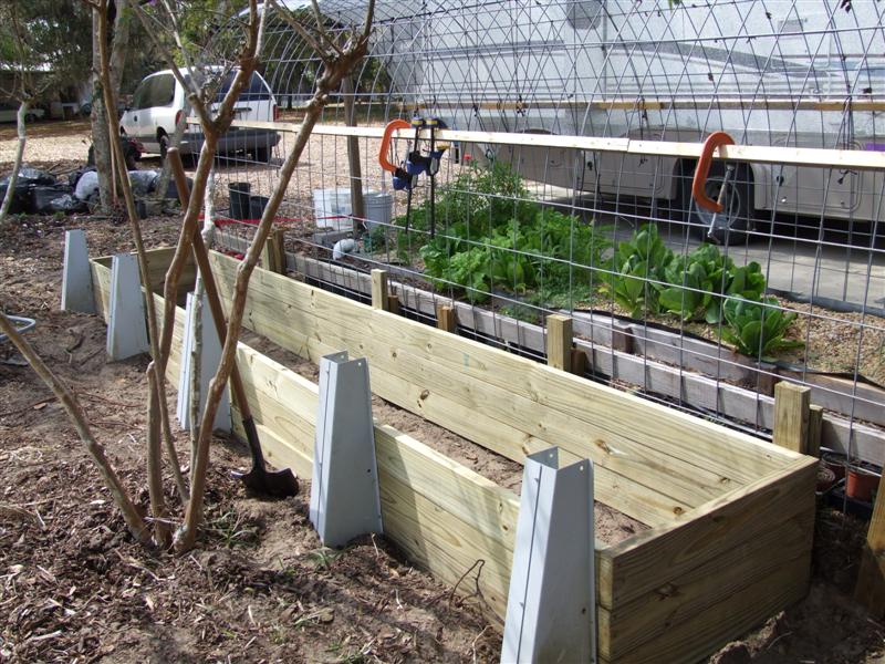 duckweed frame (Medium).JPG