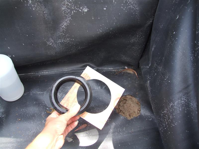 use backing (Medium).JPG