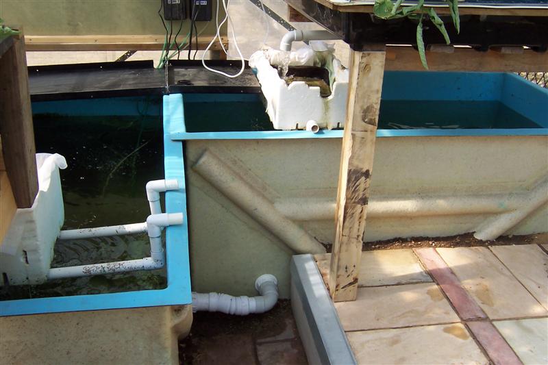 100_0951 (Medium).JPG