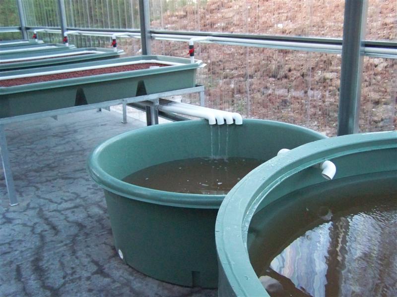 100_1912 (Medium).JPG