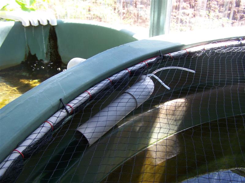 100_2231 (Medium).JPG