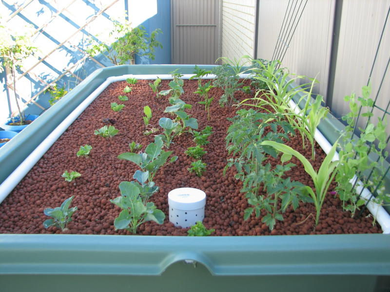 20090307_IMG_0550 - resized.JPG