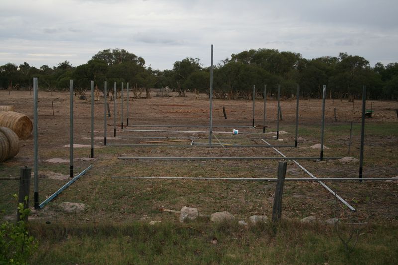 Greenhouse Beginings.jpg