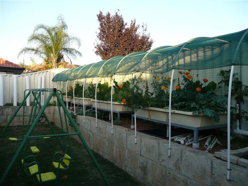 P1030456 (Medium).JPG