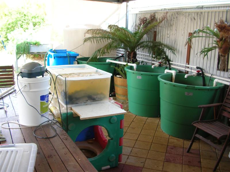 inspecting barra.JPG