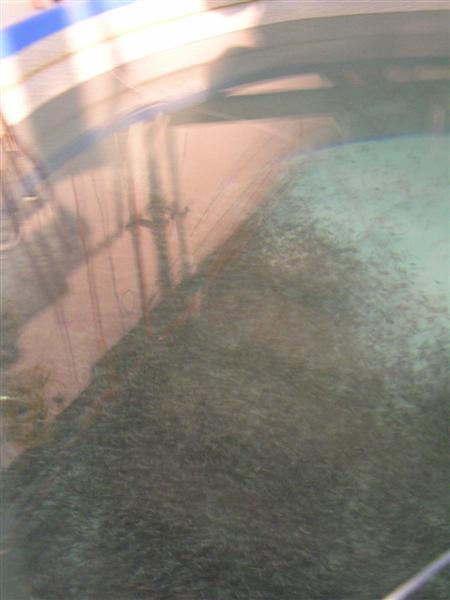 P3150001 (Medium).JPG