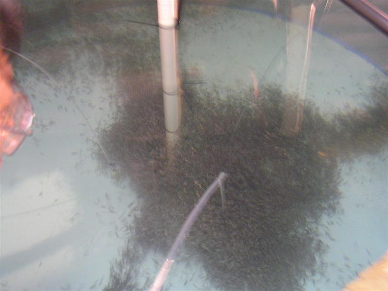 P3150003 (Medium).JPG