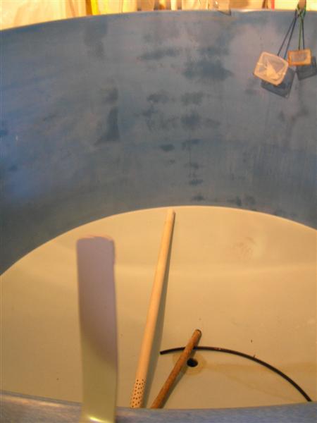 P3150006 (Medium).JPG