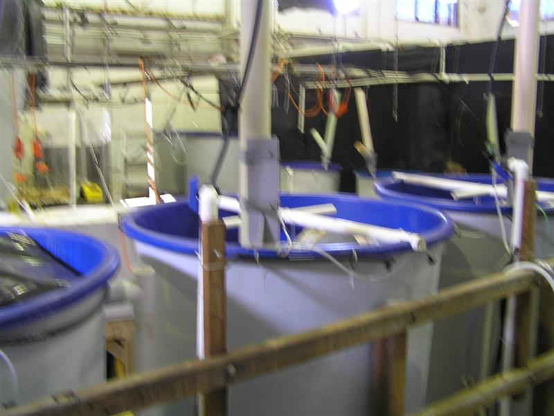 P3150008 (Medium).JPG