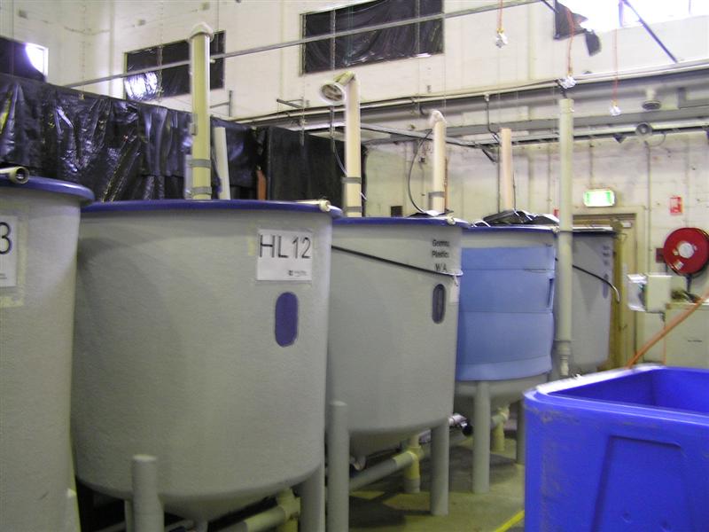 P3150012 (Medium).JPG