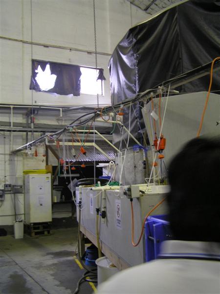 P3150011 (Medium).JPG